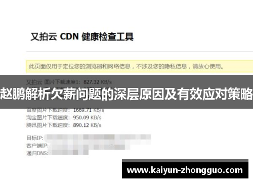 赵鹏解析欠薪问题的深层原因及有效应对策略