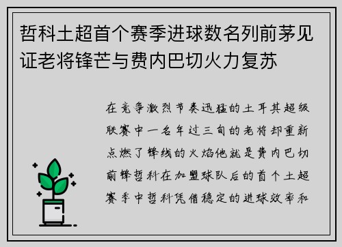 哲科土超首个赛季进球数名列前茅见证老将锋芒与费内巴切火力复苏