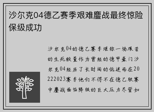 沙尔克04德乙赛季艰难鏖战最终惊险保级成功